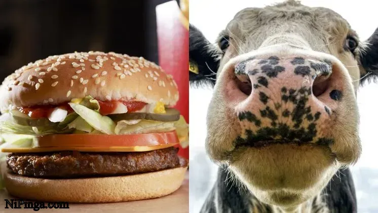 ¿100% carne de res? La verdad detrás de las hamburguesas de McDonald's