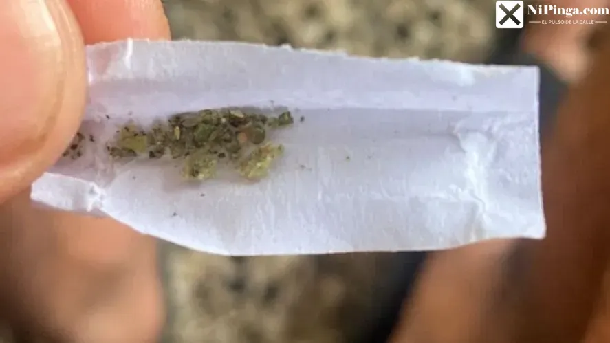 7 presos por drogas en Las Tunas