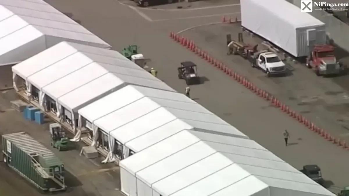 ¡Alligator Alcatraz: ¡Qué candela! Abogados sin acceso, ¡y los migrantes en el fango!