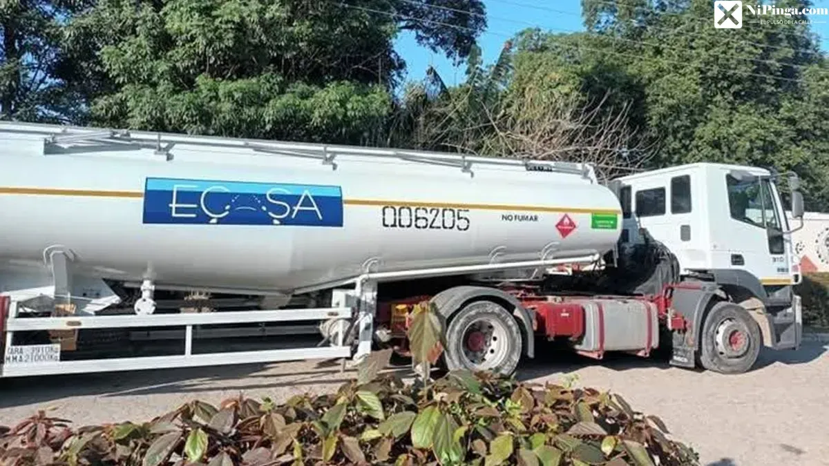 ¡Atrápalos que se van! Cae banda de avispados con combustible de avión