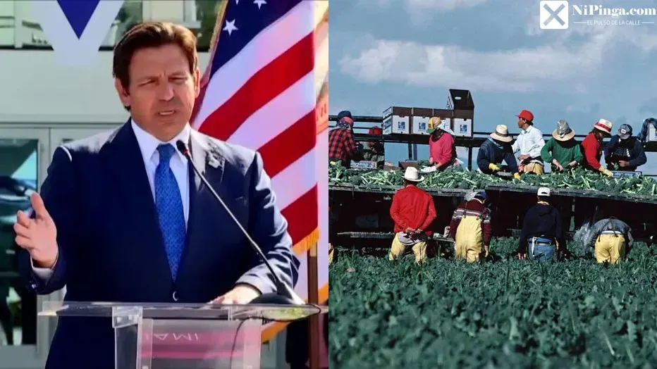 ¡Ay, Dios mío! ¡DeSantis se la pone más dura a los indocumentados en Florida!