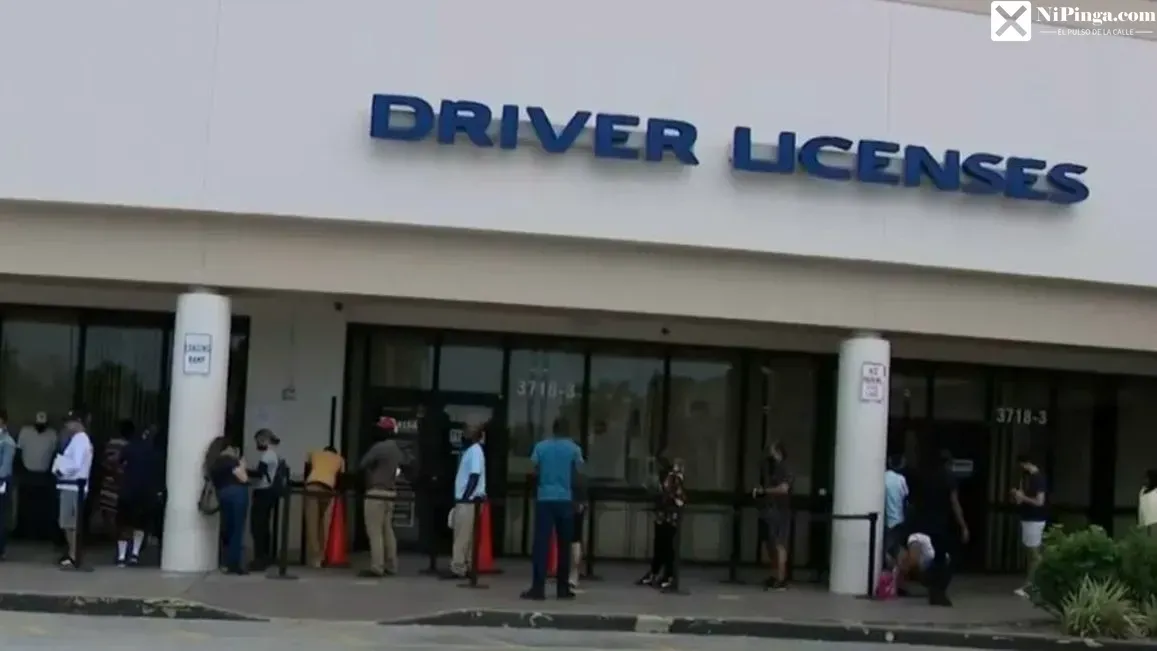 ¡Ay, Miami! ¡Se formó la locura por licencias!