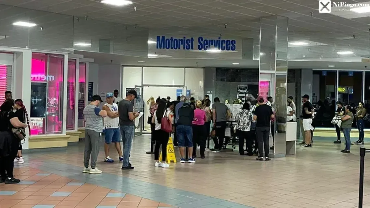 ¡Ay, Papá!  Miami le mete candela a las licencias