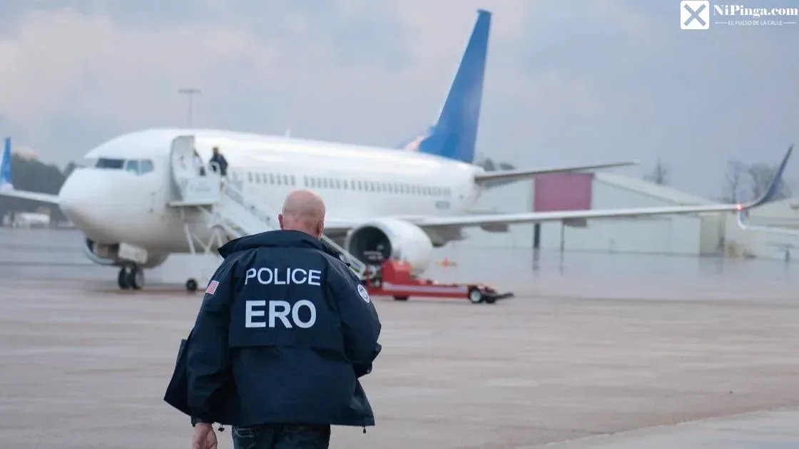 ¡Brother! ¡Las deportaciones andan al palo!