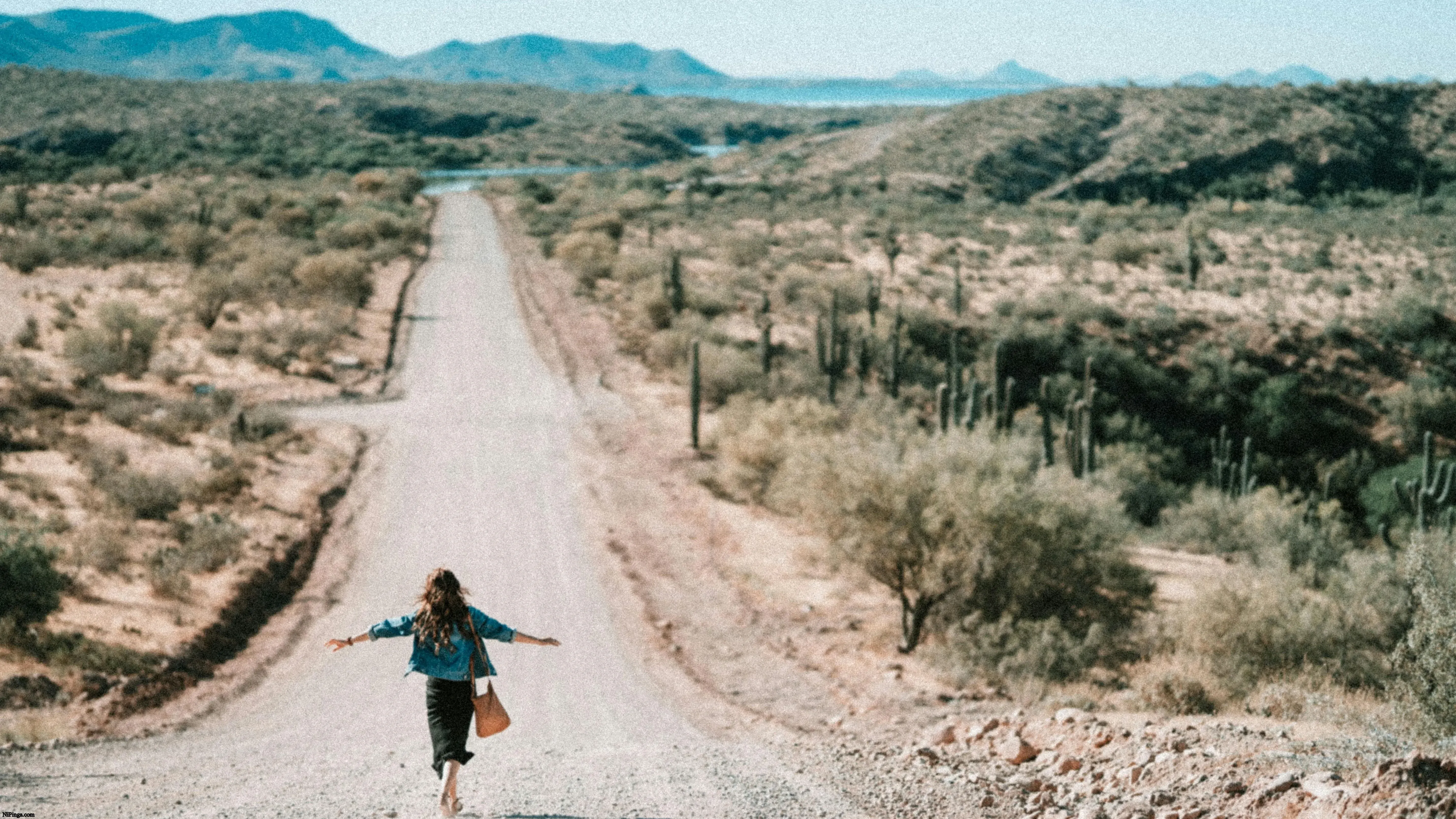Cubanos buscando nuevas rutas: ¡Adiós al norte, hola Sudamérica!