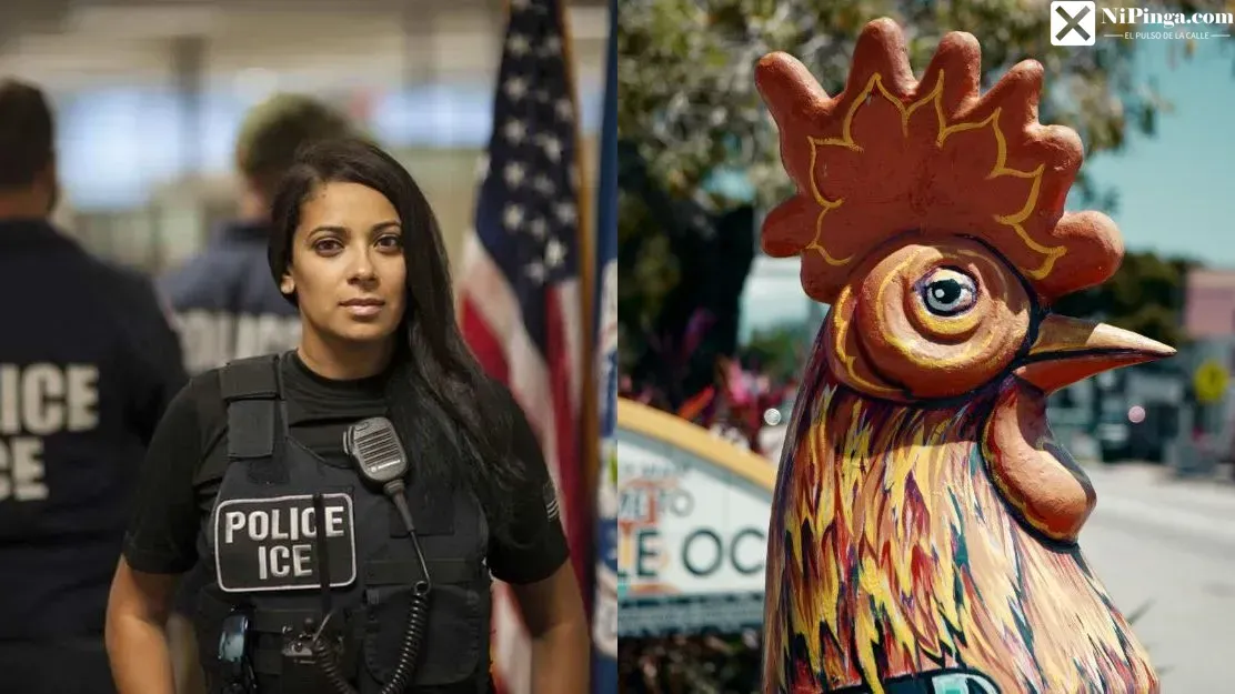 ¡El ICE está en candela en Miami!