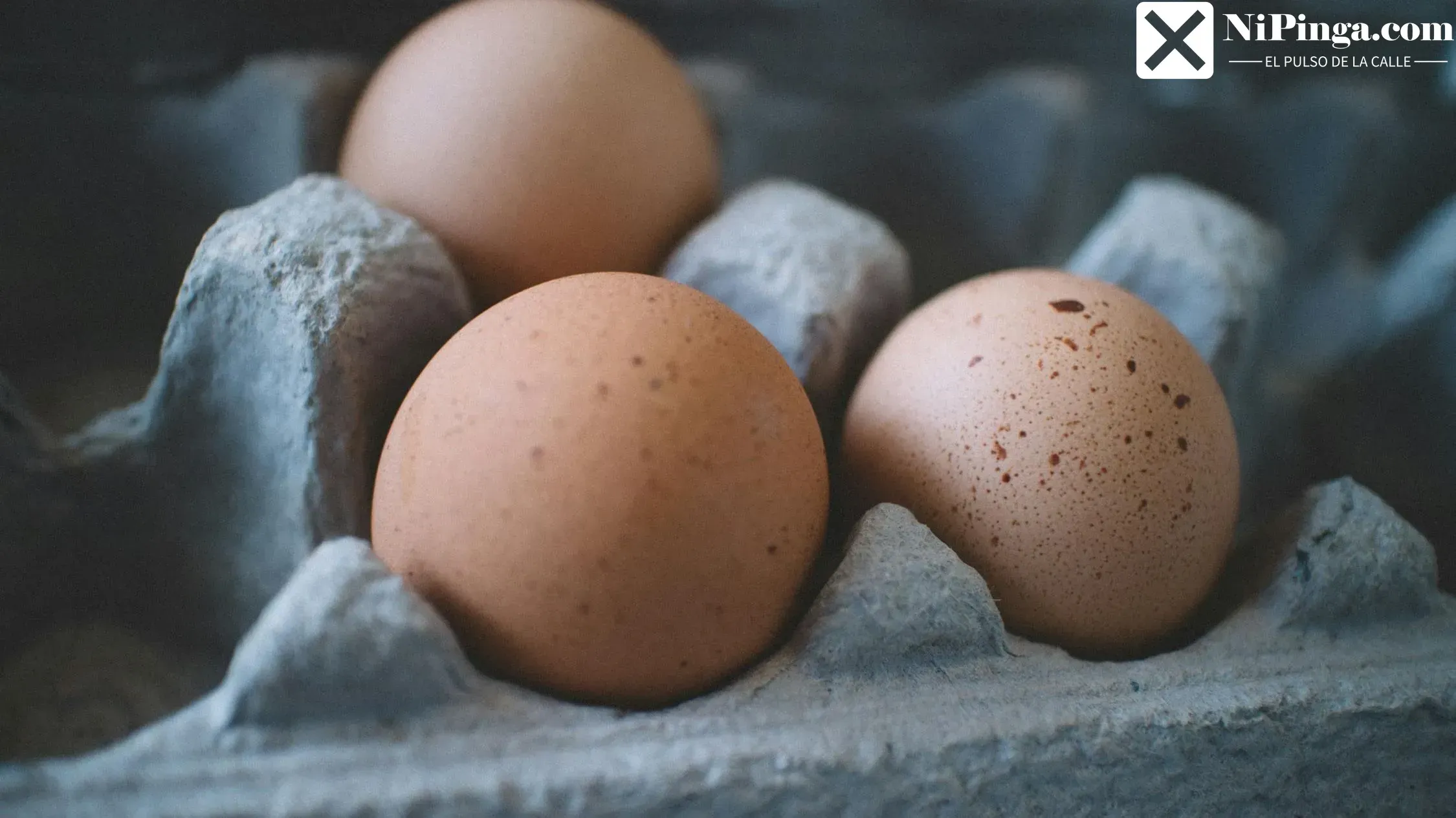 ¡Huevos de oro! Precios por el techo en Miami y Cuba