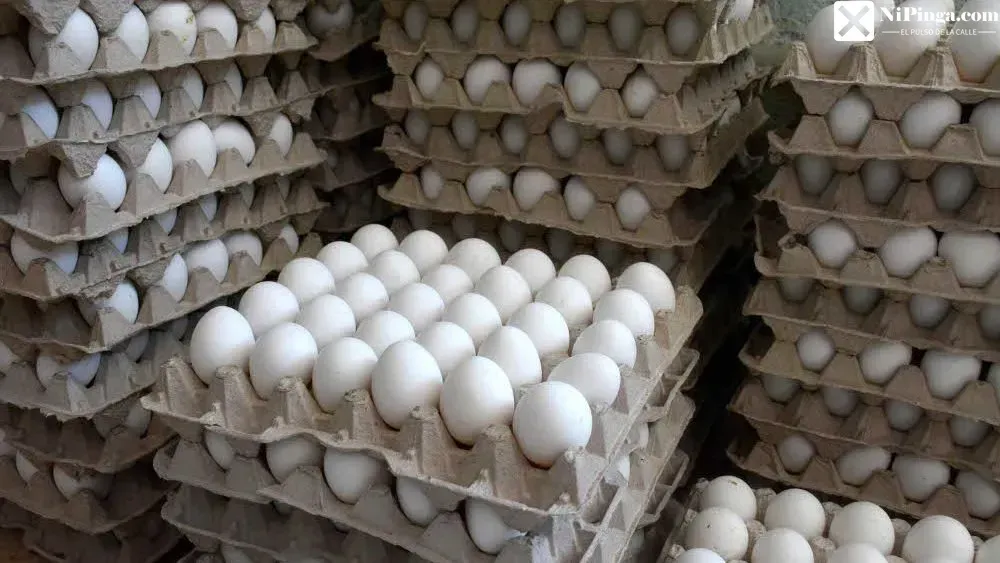 ¡Huevos importados!: De la crisis avícola a la dependencia dominicana