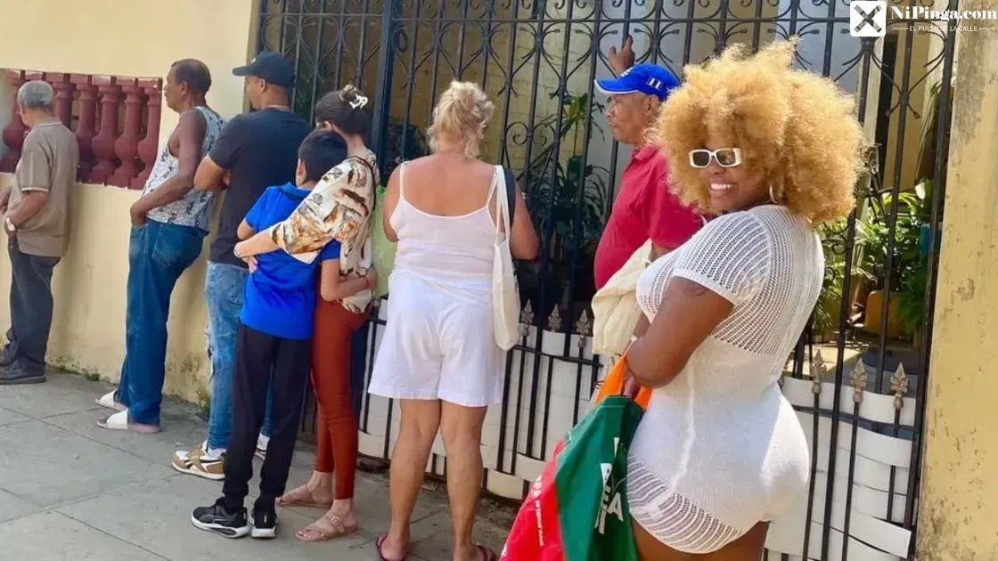 ¡La Cintumbare en la cola! ¡Y dice que está feliz!