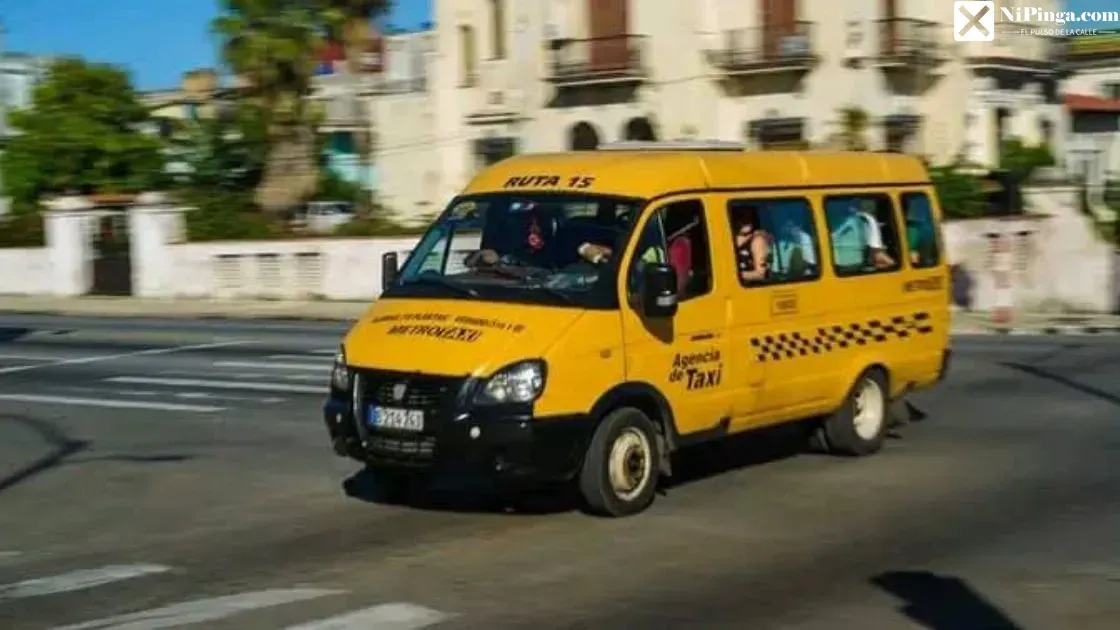 La Gacela Nunca Llega