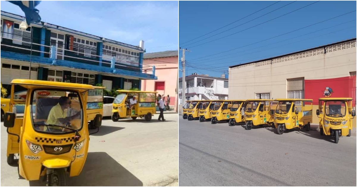 ¡Manzanillo! Triciclos Eléctricos: ¿Solución o Muela?