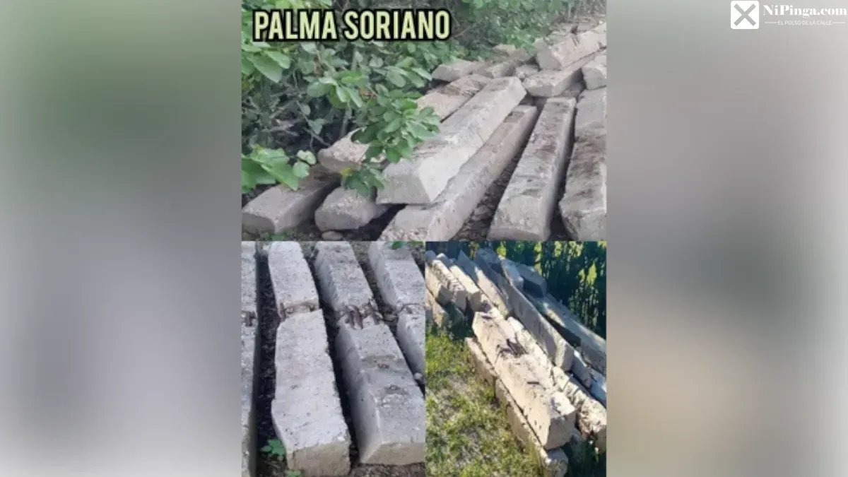 ¡Qué descaro! Roban hasta las traviesas del tren en Santiago