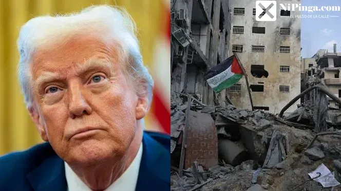 ¡Trump Quiere Botar a los Palestinos de Gaza! ¡Qué bolá!
