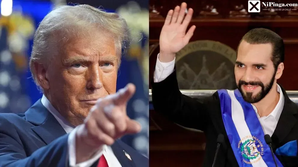 ¡Trump y Bukele: ¡Deportando a granel! (o algo así...)