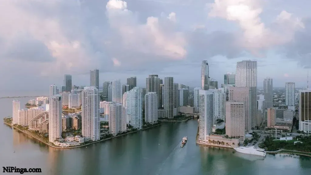 Va a chiflar el mono en Miami esta semana: ¡Preparense, que llega el frio!